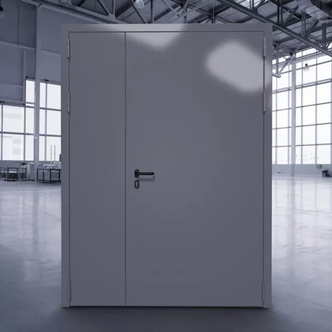 Техническая дверь ДТМ-02