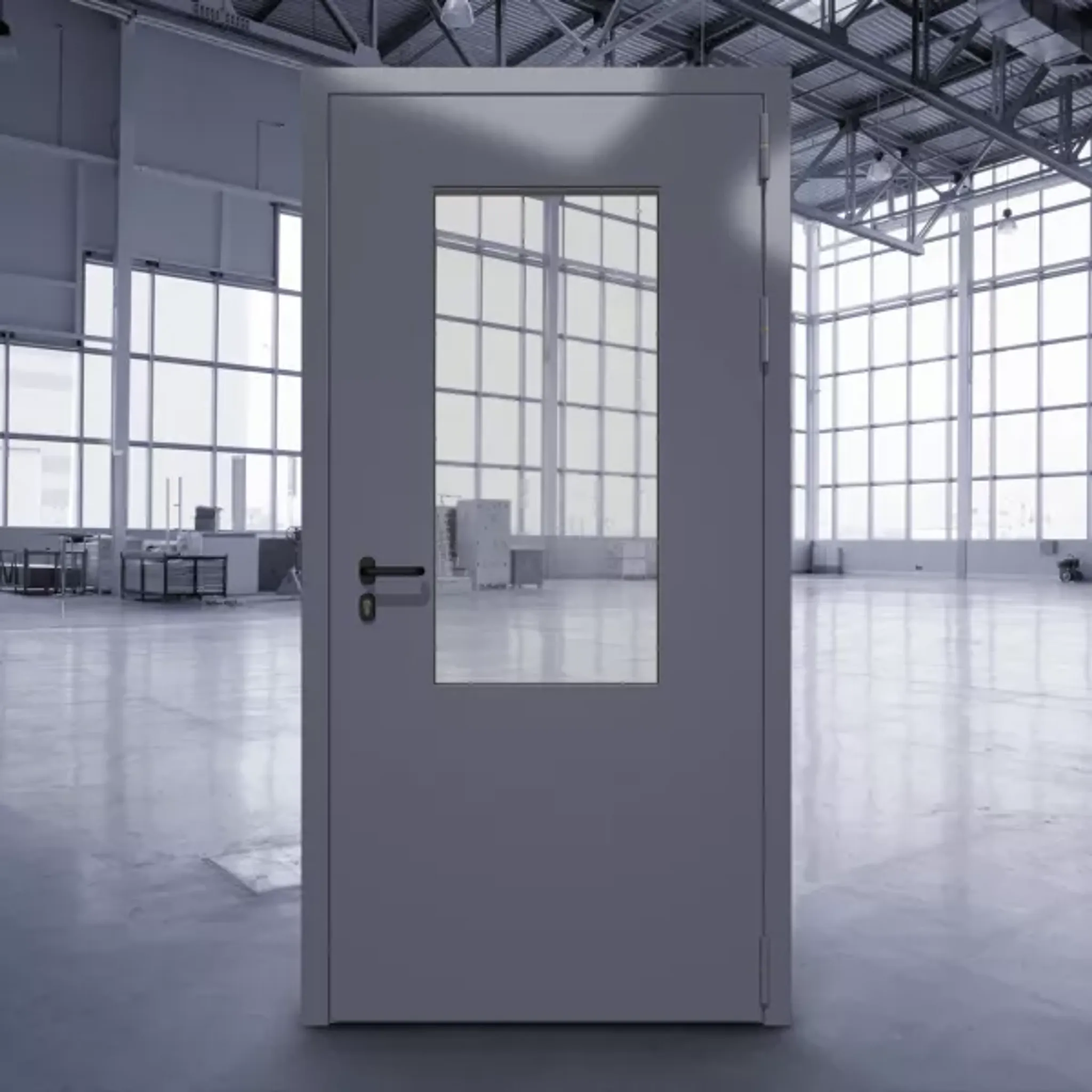 Техническая остеклённая дверь ДТМО-01