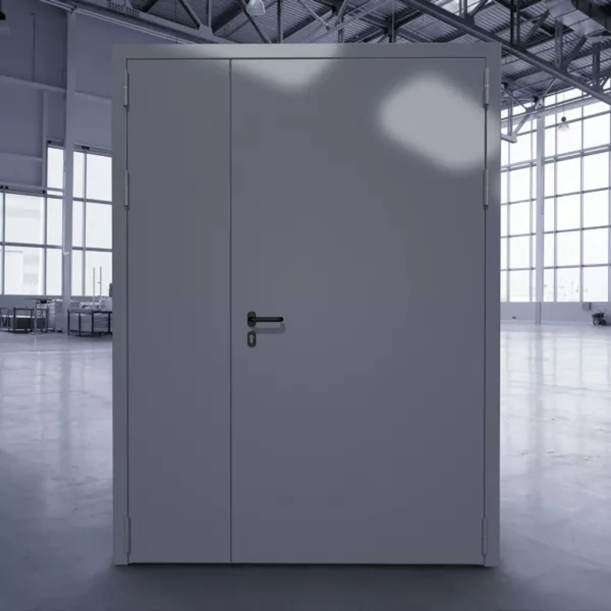 Техническая дверь ДТМ-02