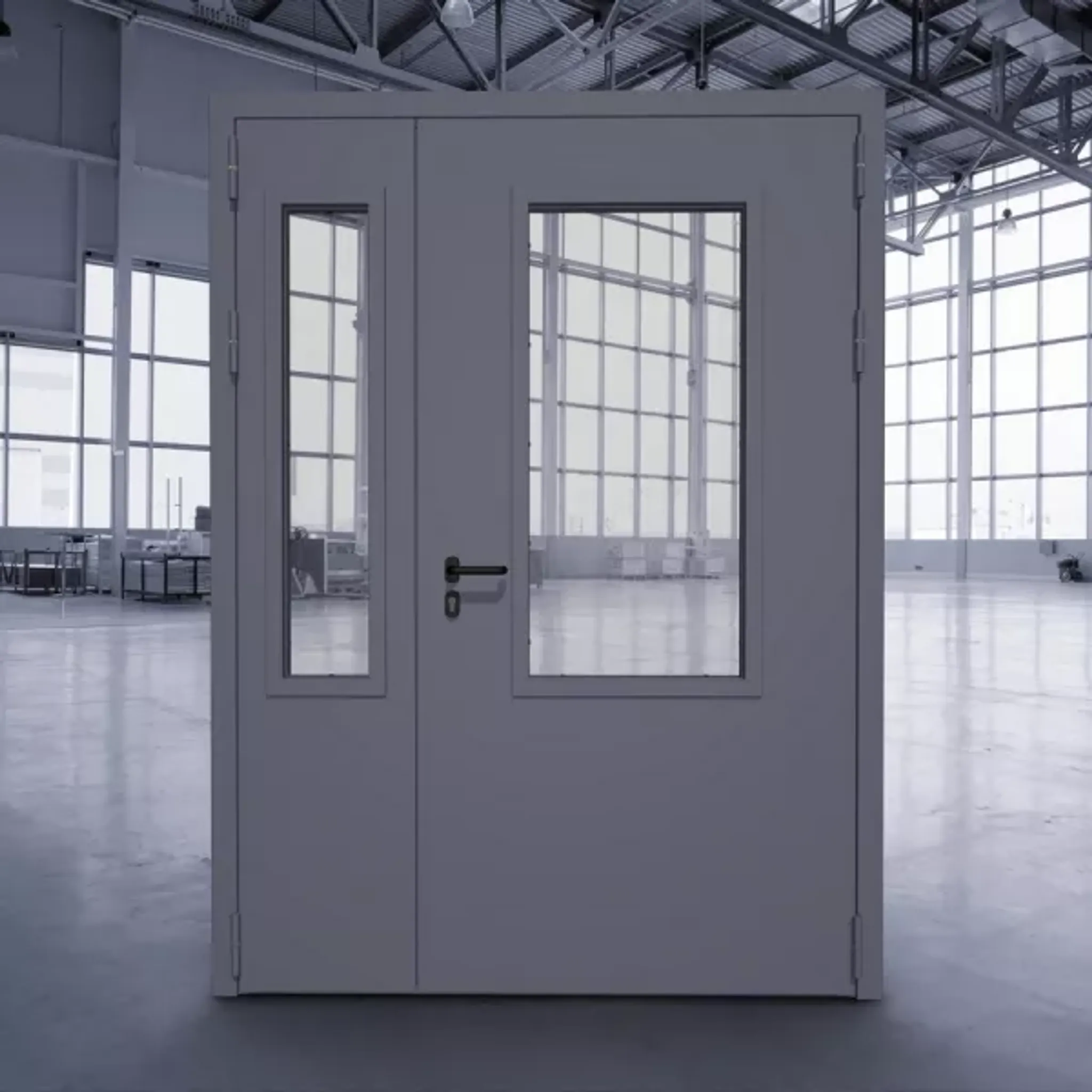 Техническая остеклённая дверь ДТМО-02