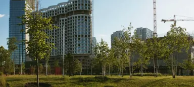 Благоустройство территории