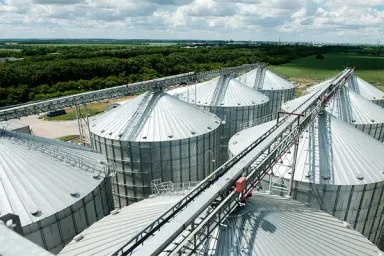 Сельскохозяйственная отрасль